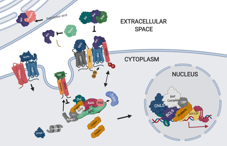 Figure 1.