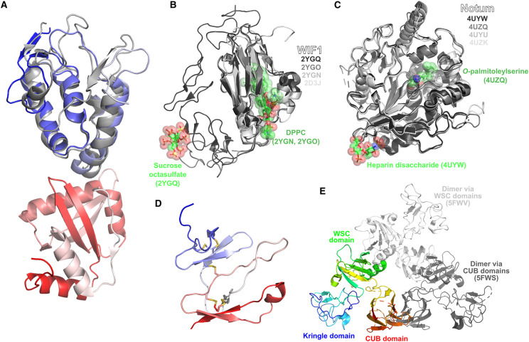 Figure 3.