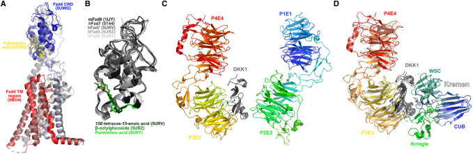 Figure 4.