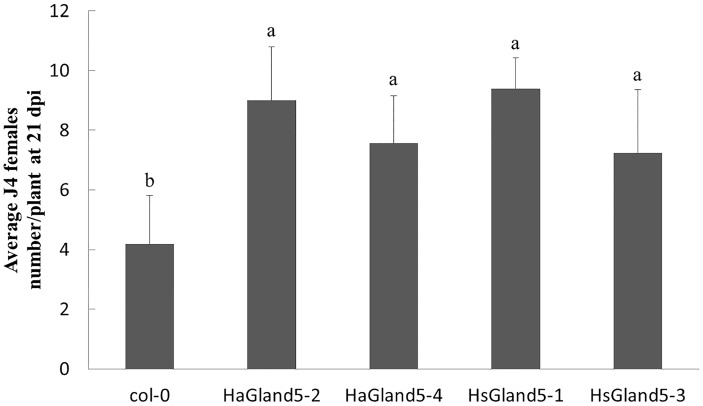 FIGURE 5