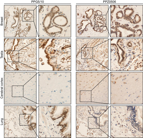 Figure 3: