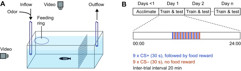 Fig. 1