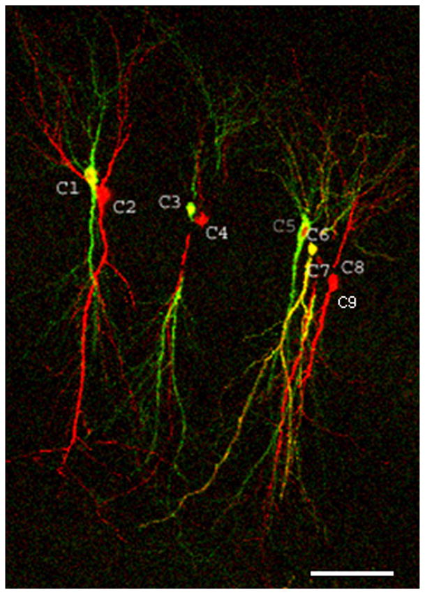 Figure 3