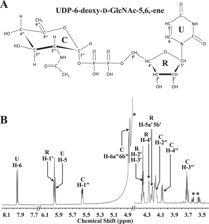 FIGURE 4.