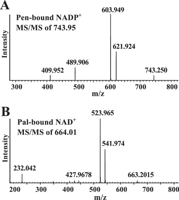 FIGURE 10.