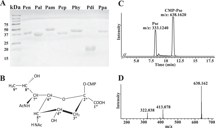 FIGURE 2.