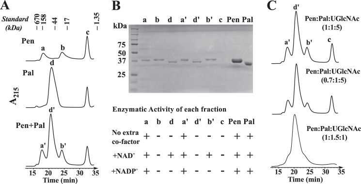 FIGURE 9.