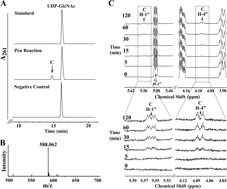 FIGURE 3.