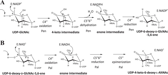 FIGURE 11.