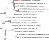 FIG 10
