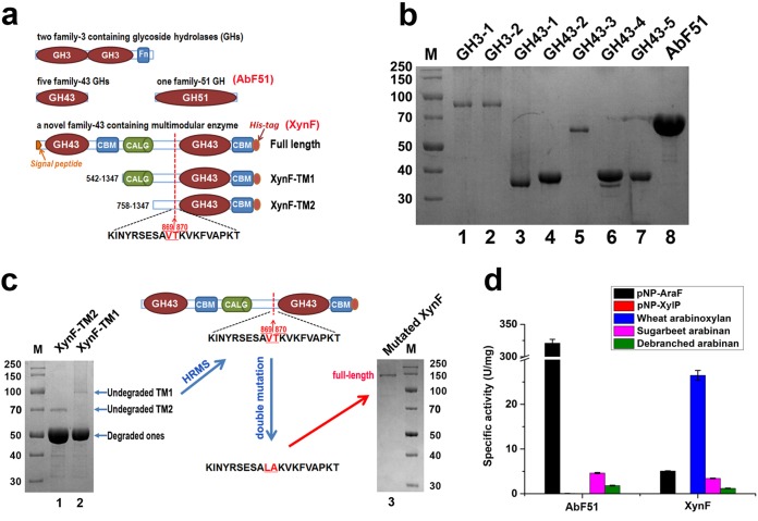 FIG 2