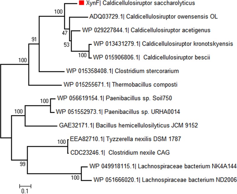 FIG 10