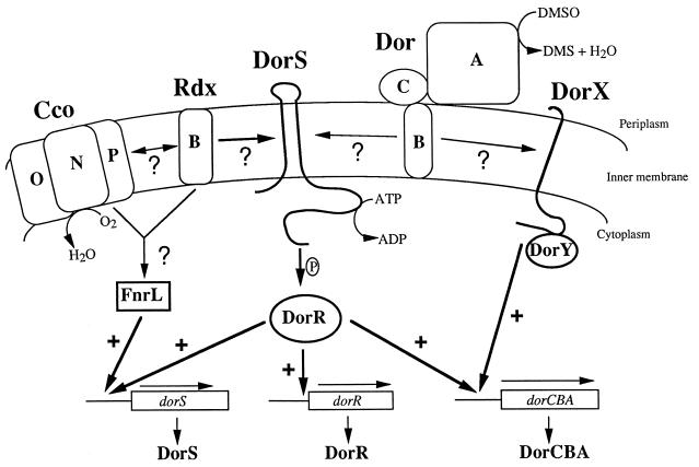 FIG. 5