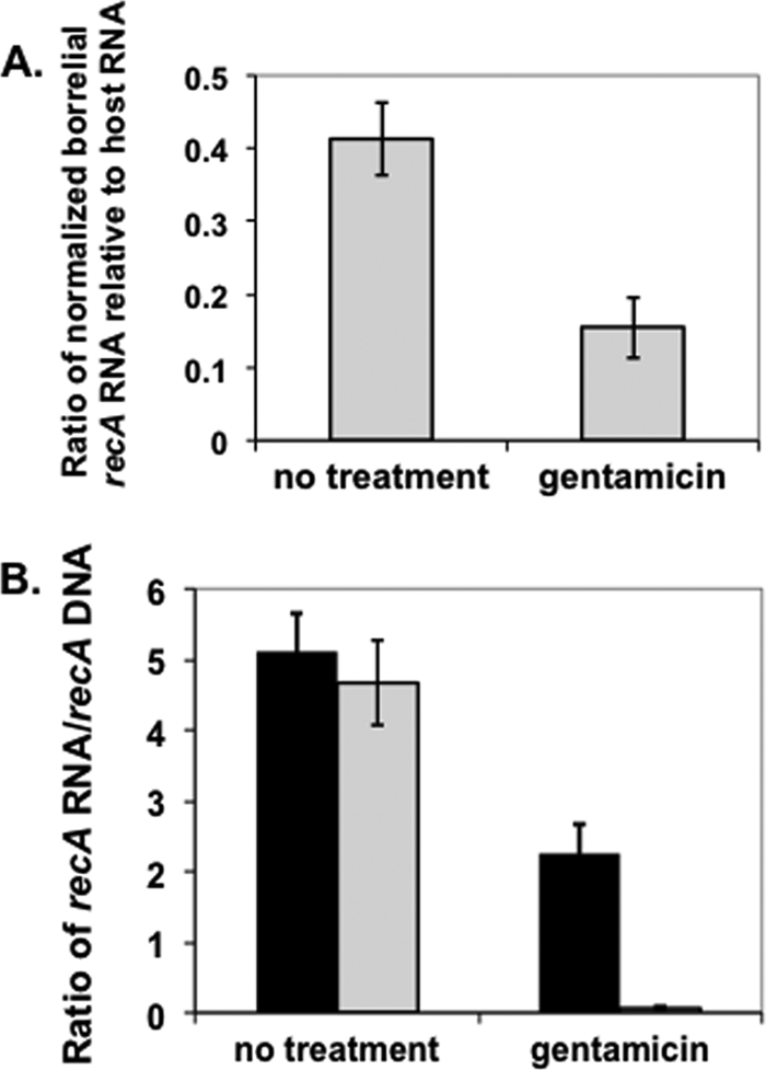 FIG. 8.