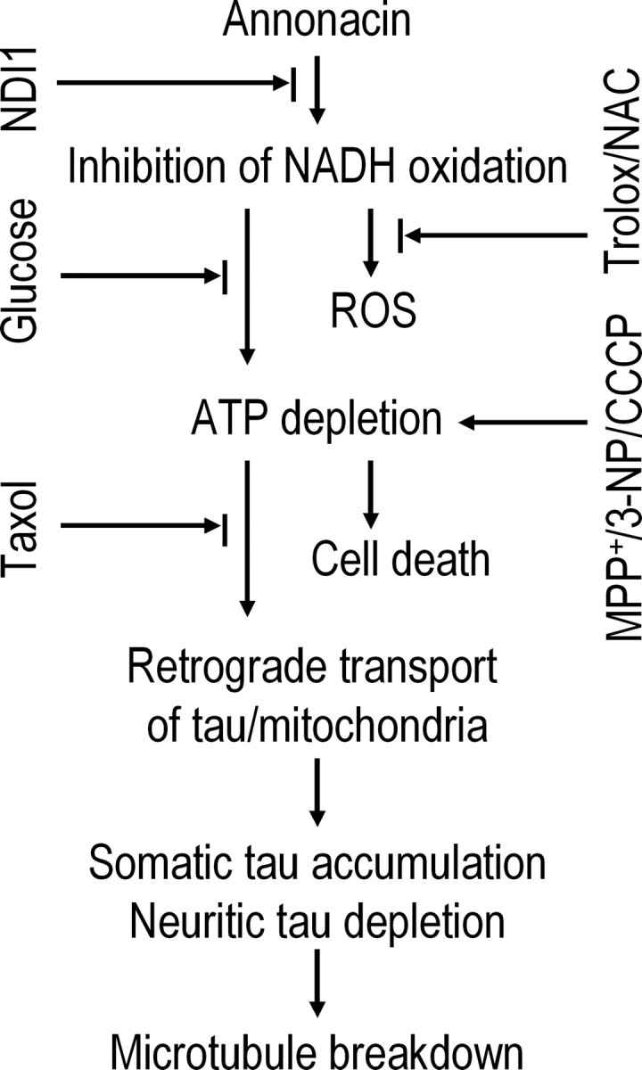 Figure 9.