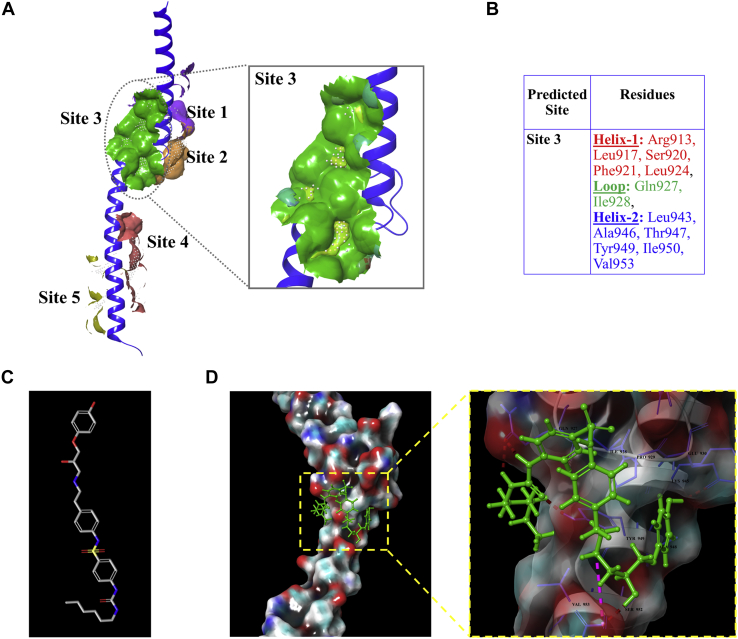 Figure 1