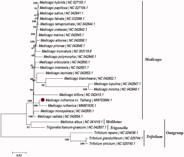 Figure 1.