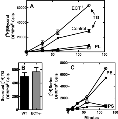 FIGURE 10.