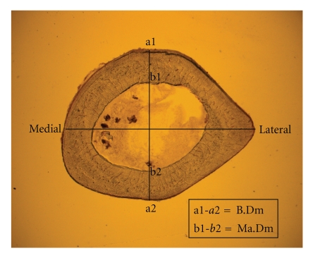 Figure 2