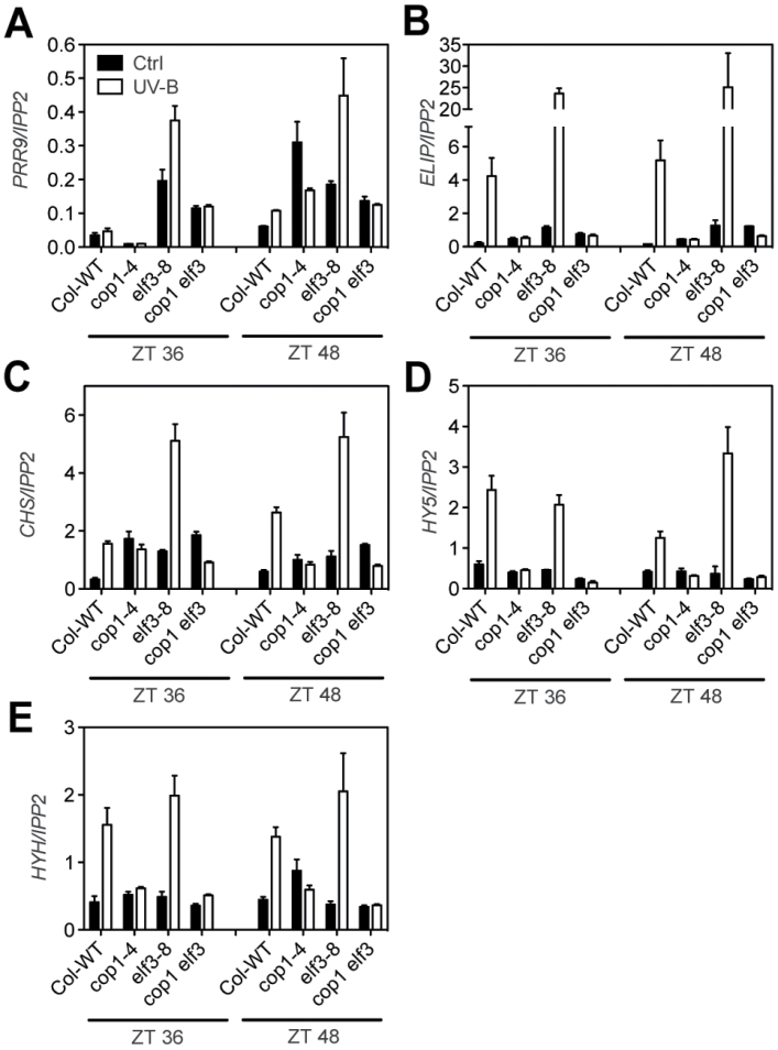 Fig. 4.