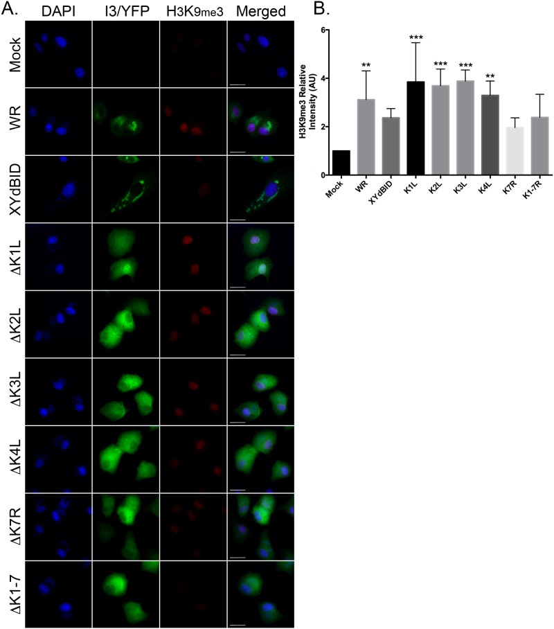 Fig 7