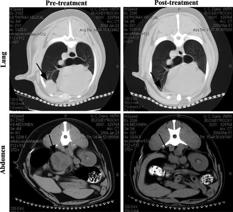 Fig. 7