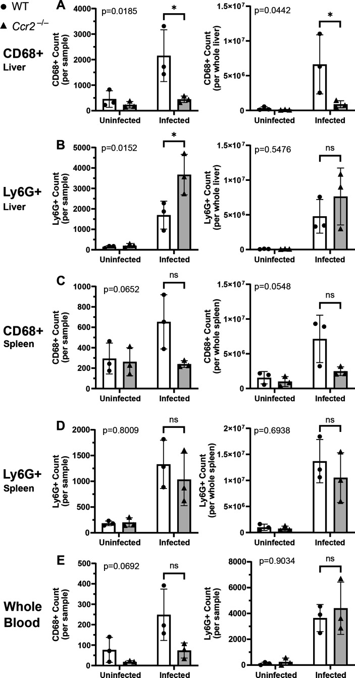 Figure 6—figure supplement 1.