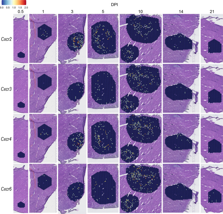 Figure 4—figure supplement 5.