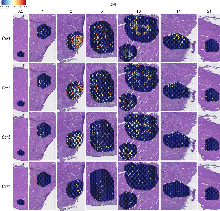 Figure 4—figure supplement 6.