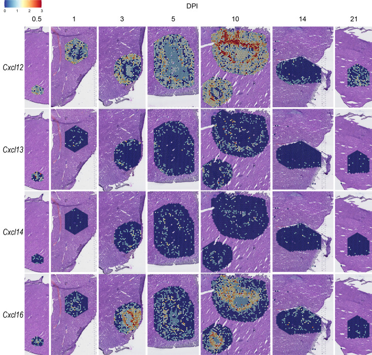 Figure 4—figure supplement 1.