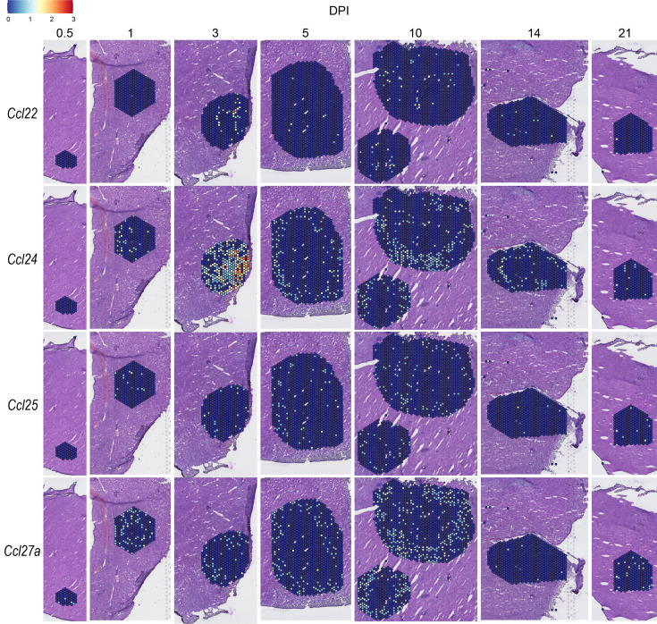 Figure 4—figure supplement 4.