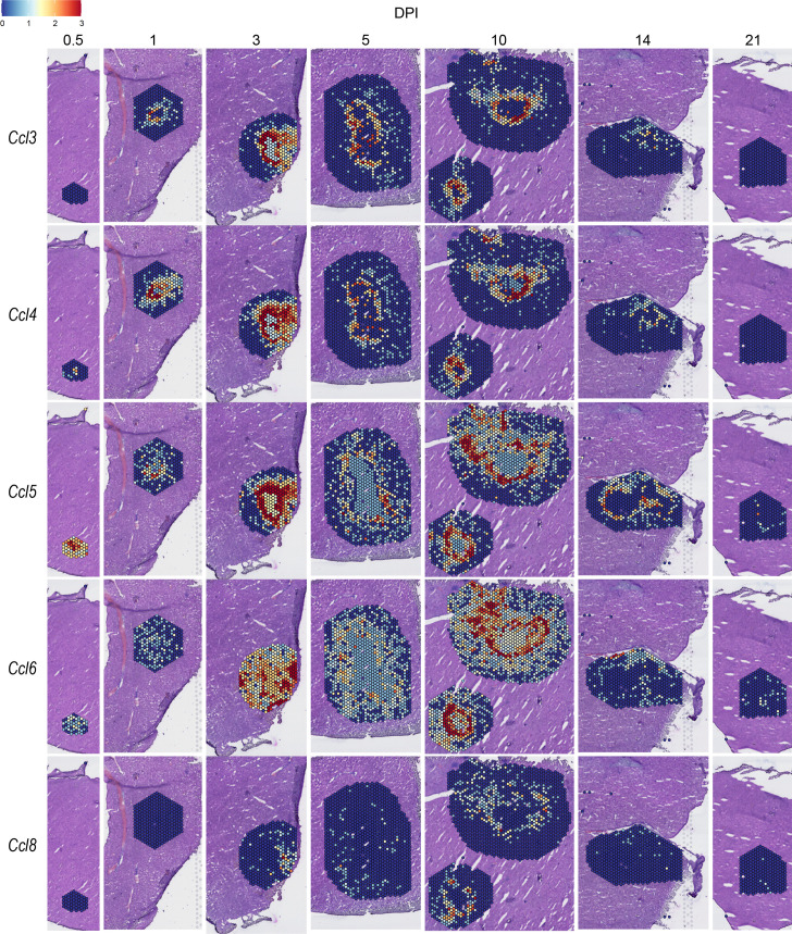 Figure 4—figure supplement 2.