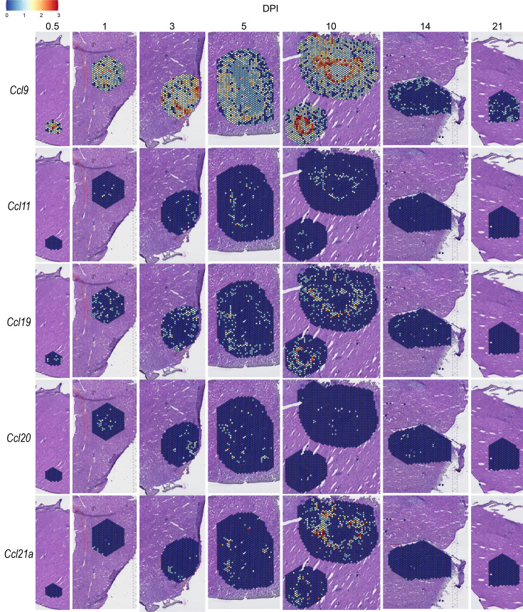 Figure 4—figure supplement 3.