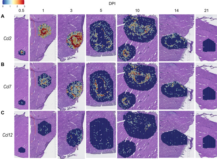 Figure 3.