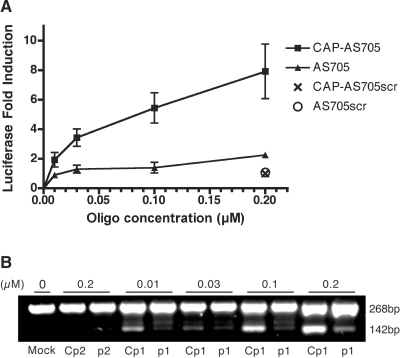 Figure 7.