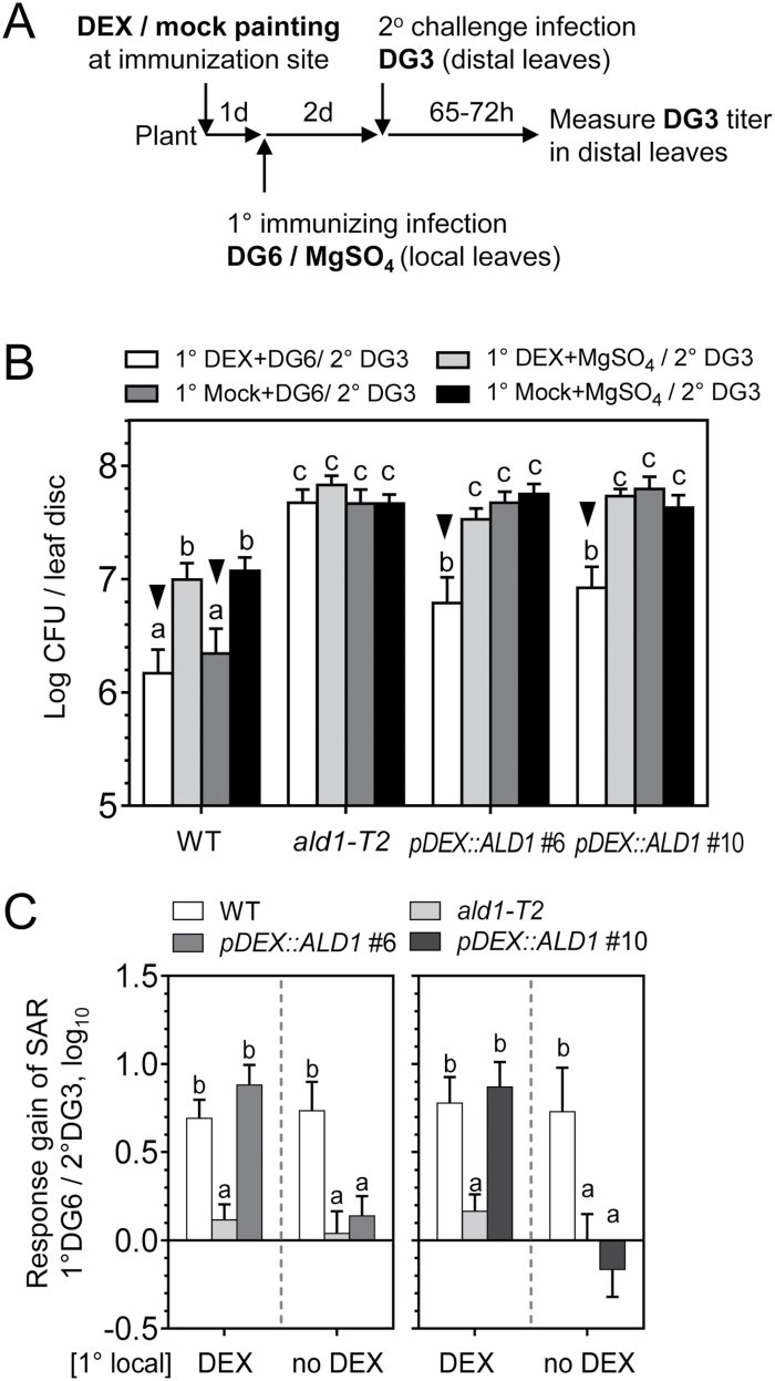 Fig. 5.