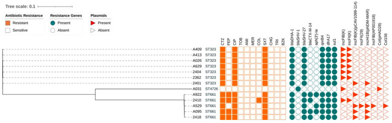 Figure 2