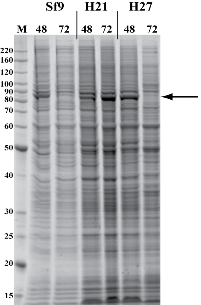 Figure3