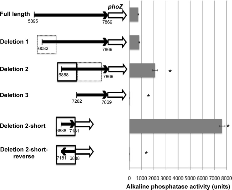 FIG 2