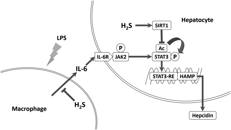 FIG. 7.