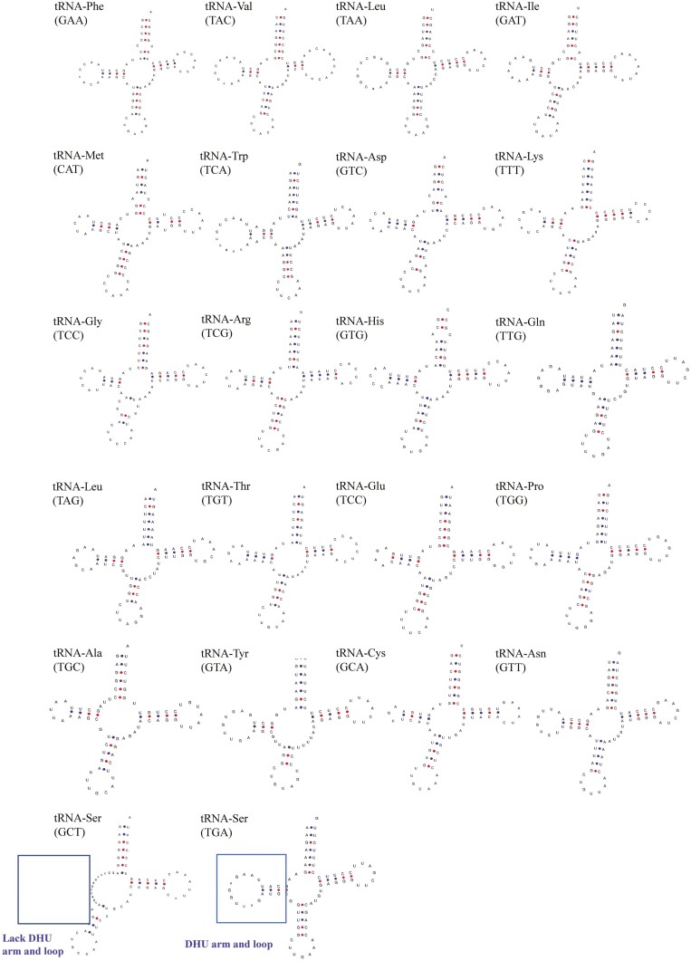 Figure 6.