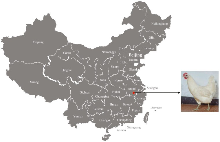 Figure 1.