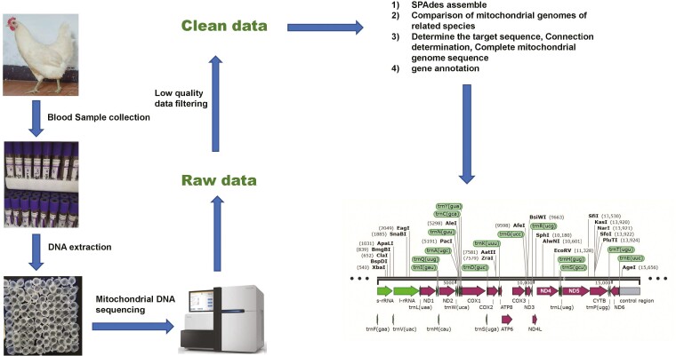 Figure 2.