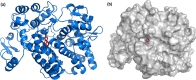 Fig. 3