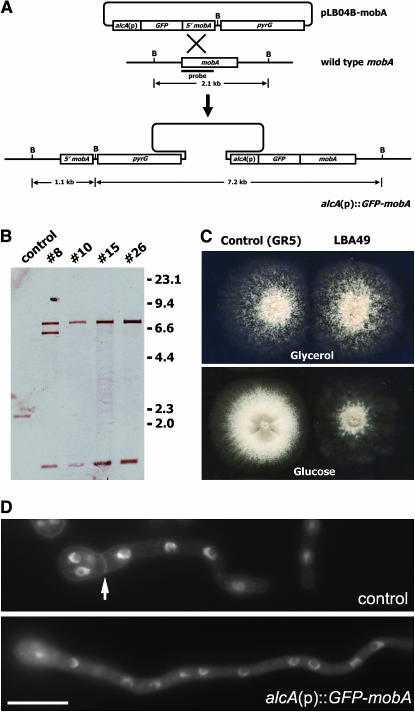 Figure 2.