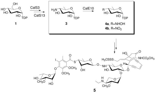 Scheme 1