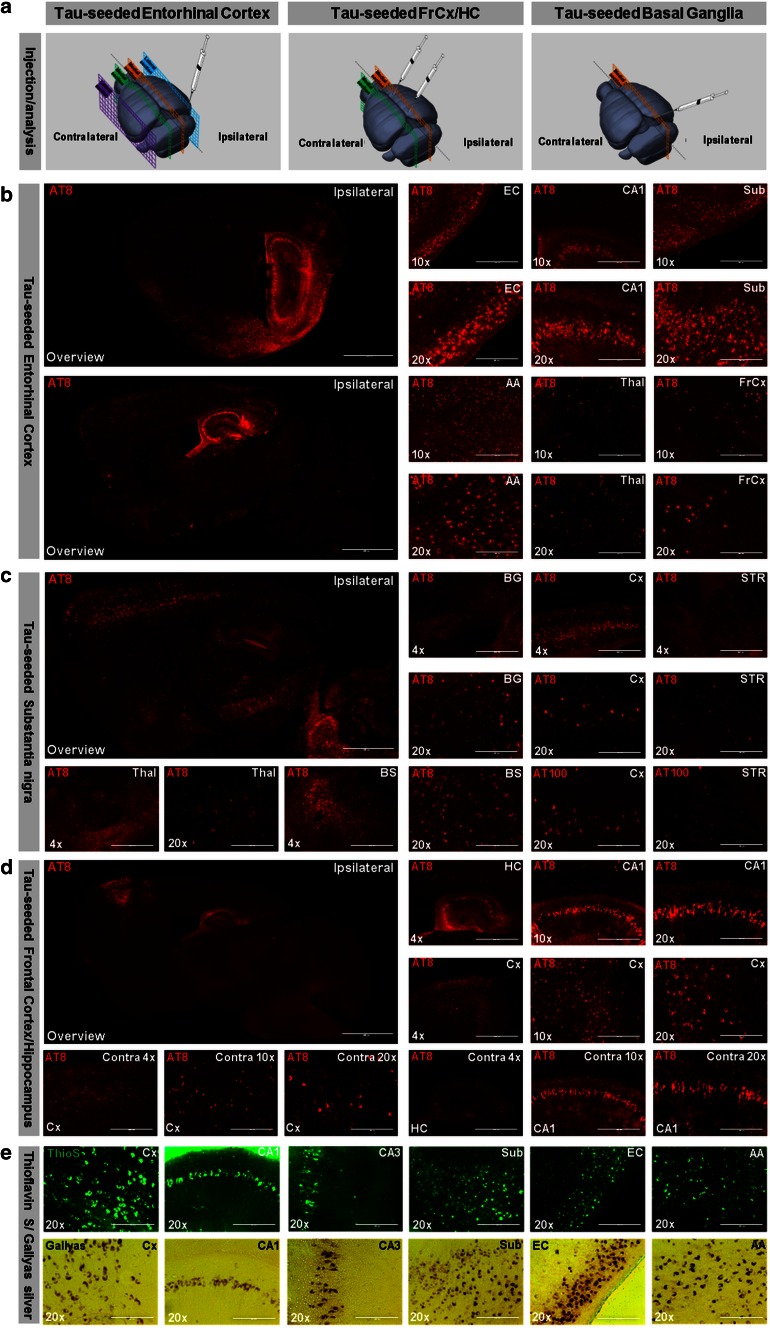 Fig. 4