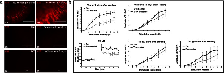 Fig. 2