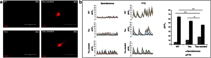 Fig. 1