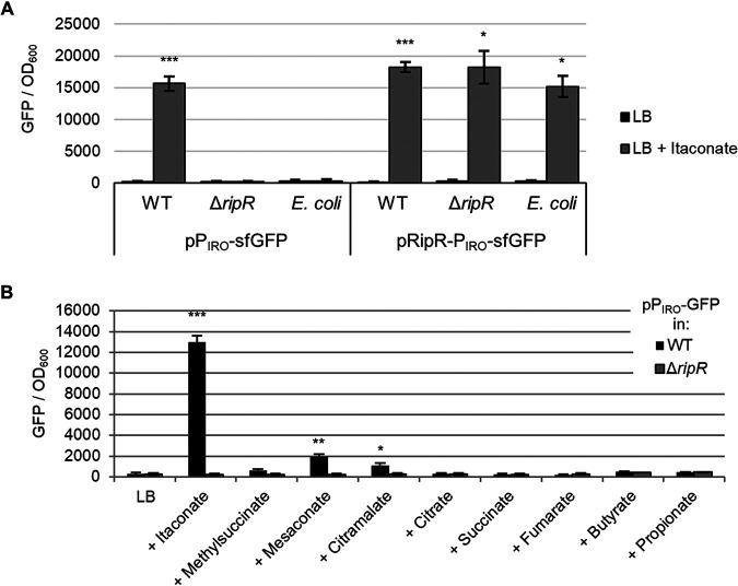 FIG 2